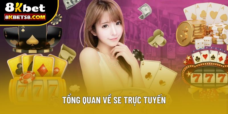 Tổng quan về SE trực tuyến